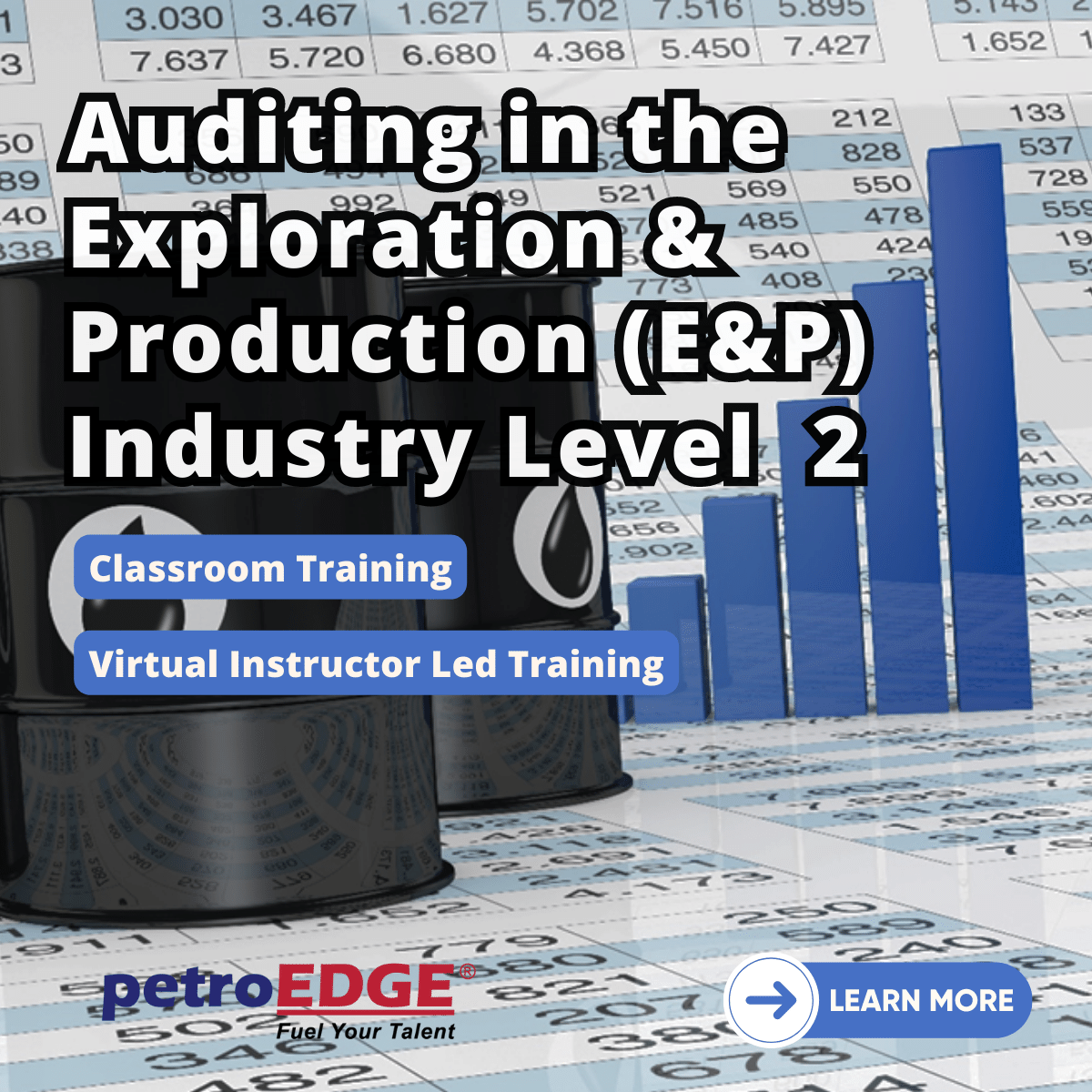 Auditing in the Exploration & Production (E&P) Industry Level 2