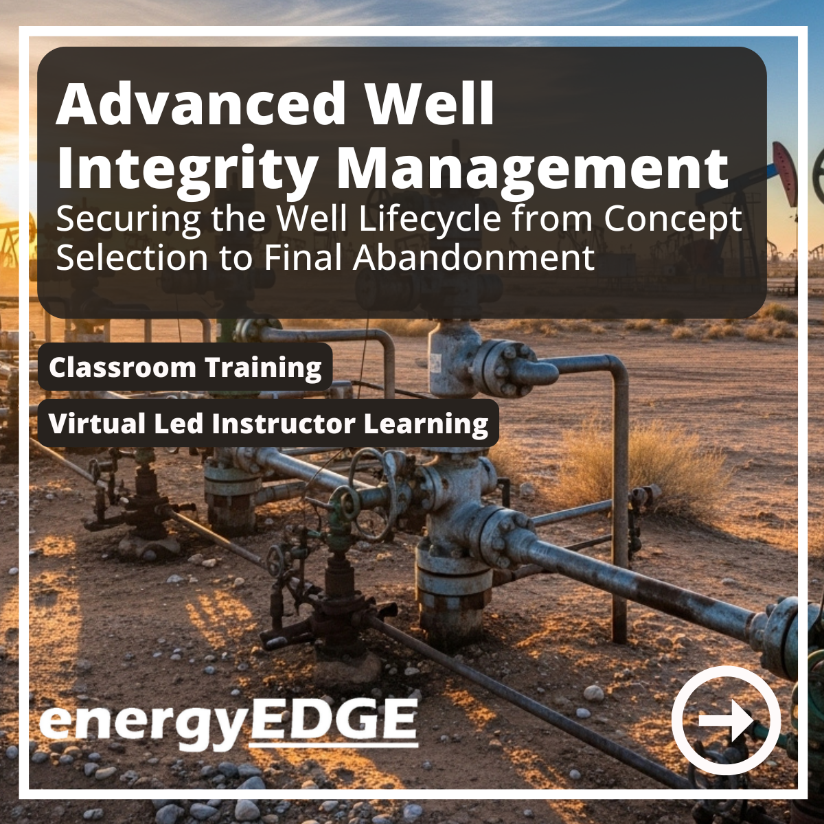 Advanced Well Integrity Management
