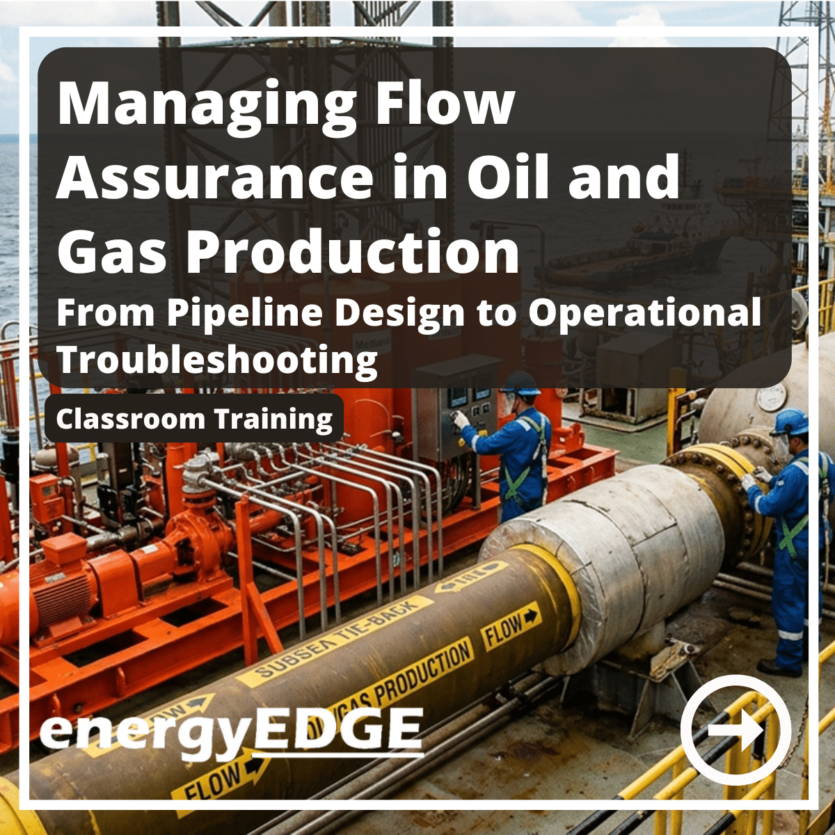 Managing Flow Assurance in Oil and Gas Production - From Pipeline ...