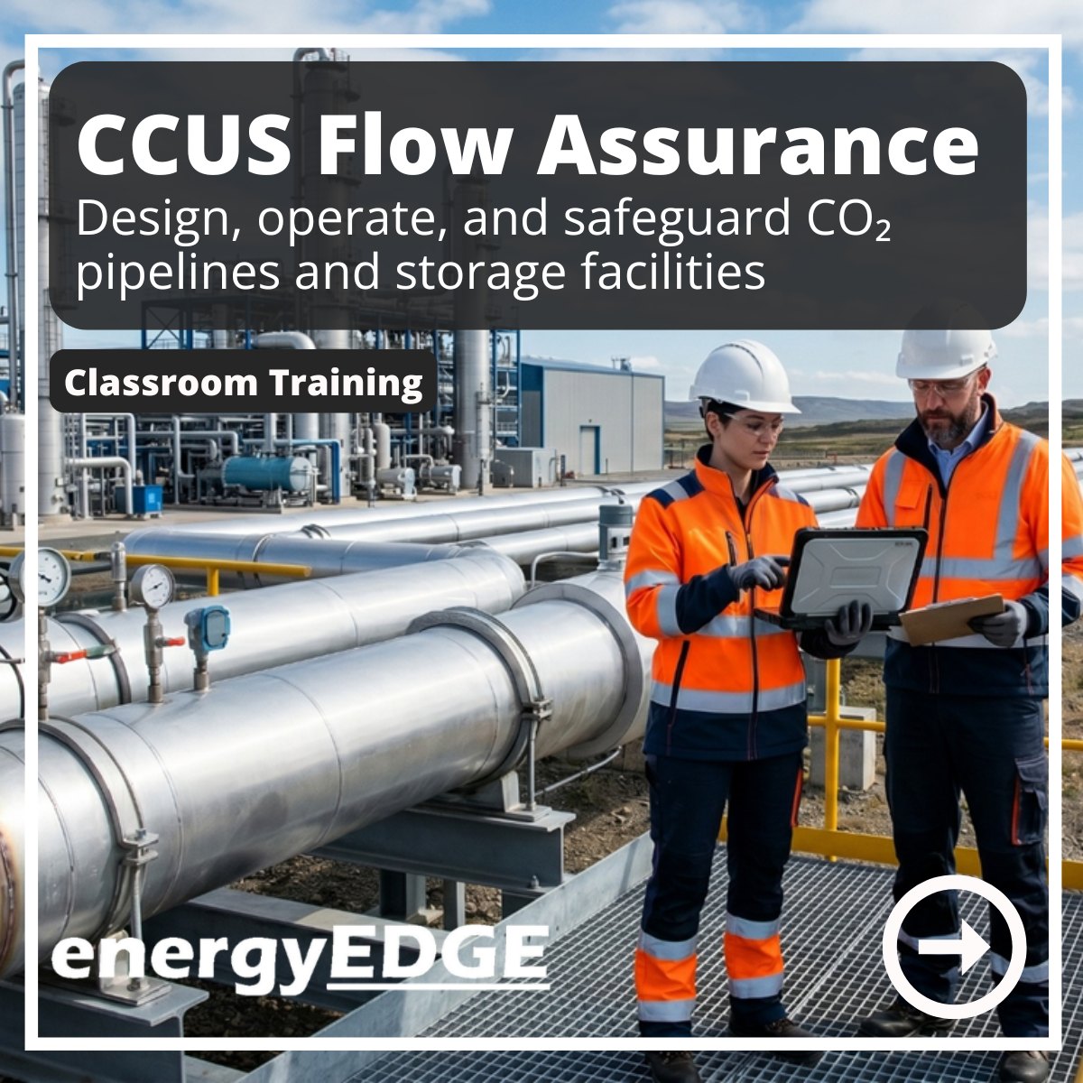CCUS Flow Assurance - Design, Operate, and Safeguard CO Pipelines and Storage Facilities logo